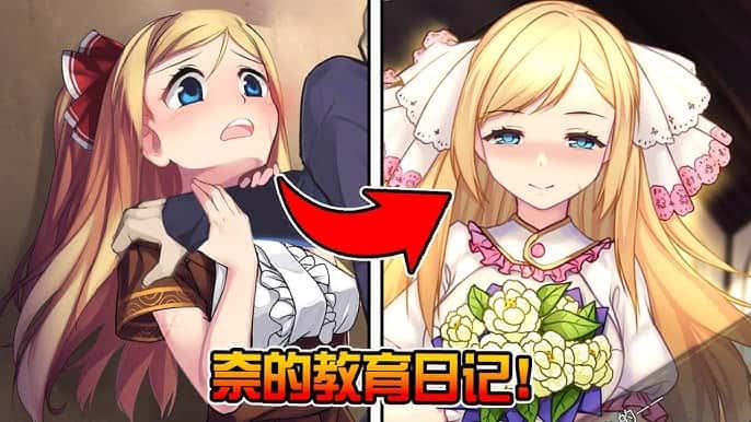奈的教育日记